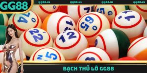 Bạch thủ lô - Phương pháp soi cầu tại sân chơi GG88 hiệu quả