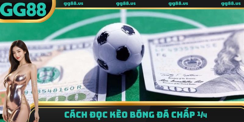 Cách đọc kèo bóng đá chấp ¼